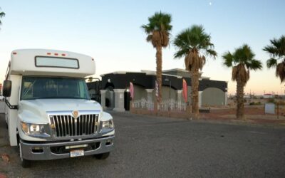 Experience the All-New Exotic Kitty – Fort Mohave’s Hottest Nightlife Destination